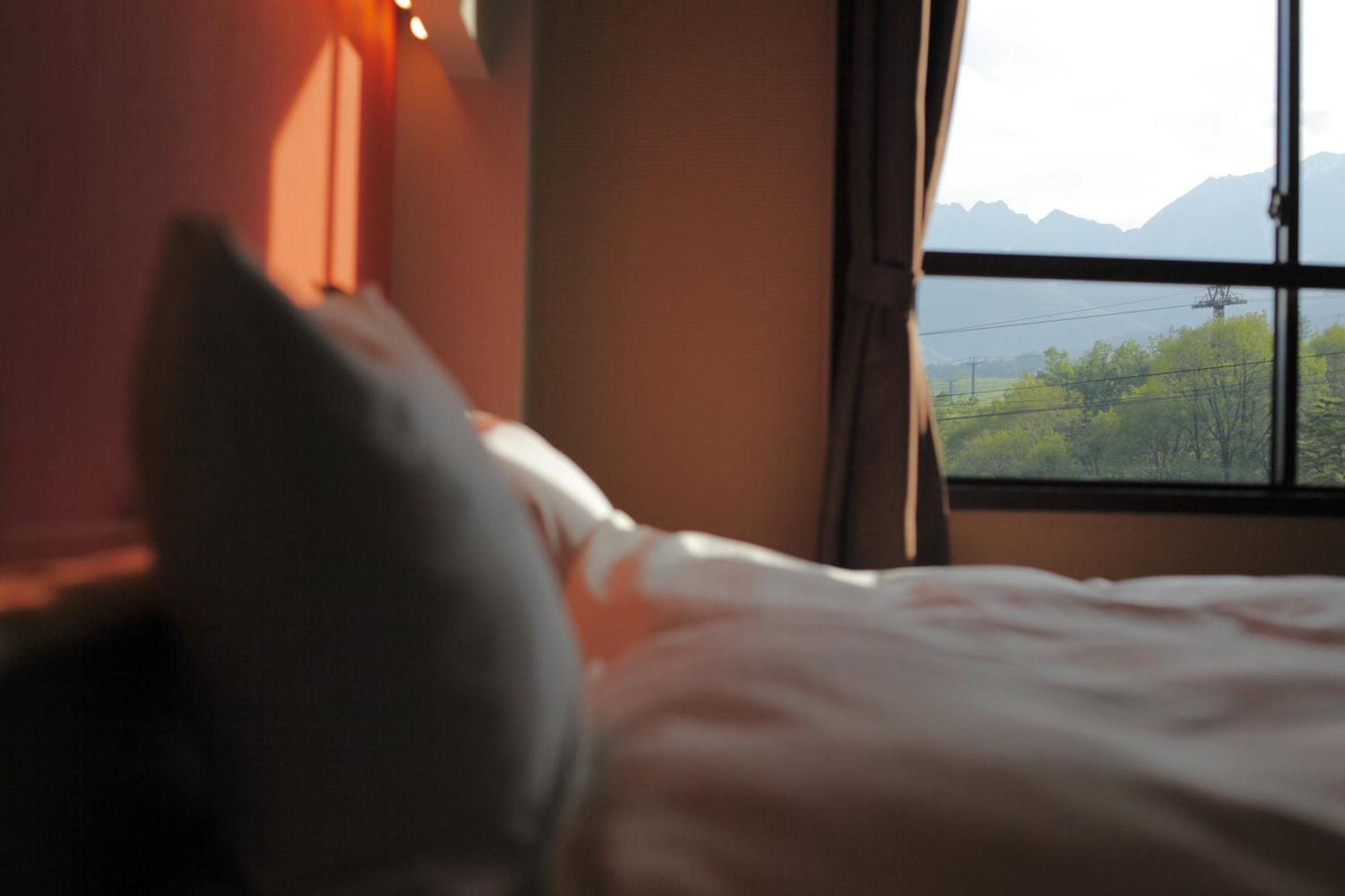 Hotel Hakuba Berghaus Otari Room photo