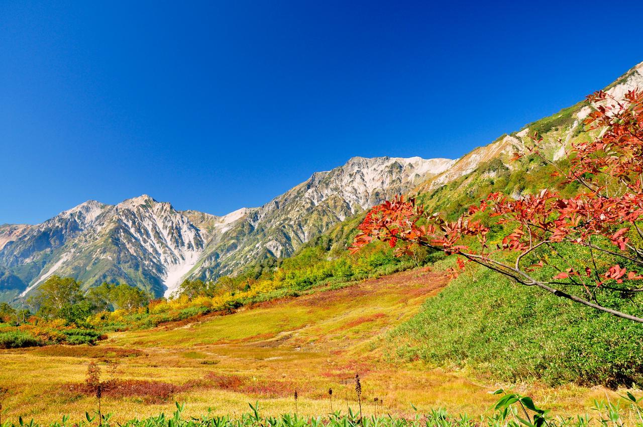 Hotel Hakuba Berghaus Otari Exterior photo